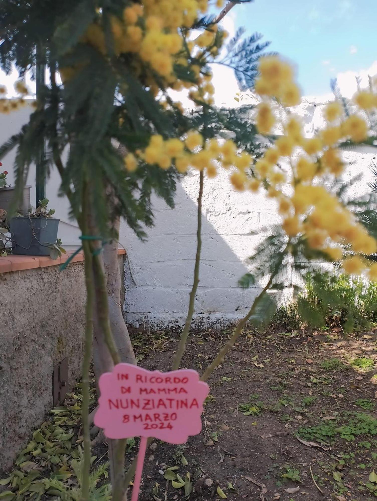 דירות סירקוזה Nel Giardino Di Nunziatina מראה חיצוני תמונה